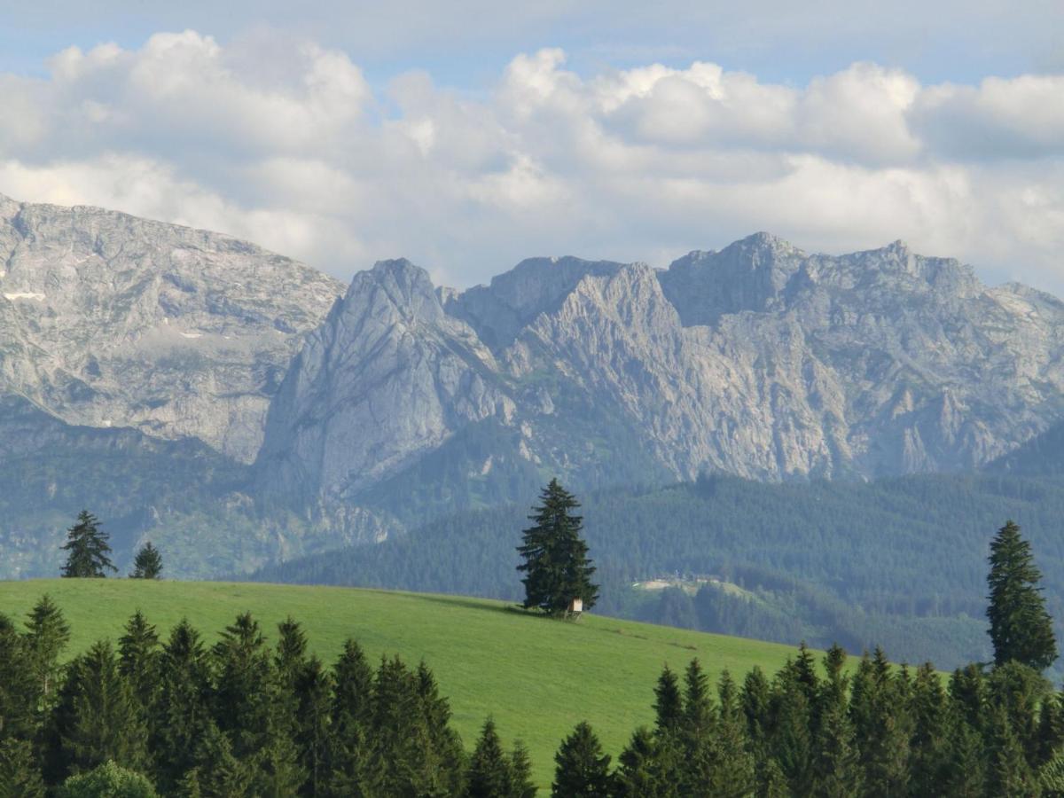 Apartment In Lechbruck Bavaria With Garden 部屋 写真
